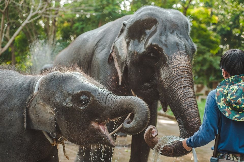 thailand-4028725_960_720 Krabi - Tajland 2019/2020