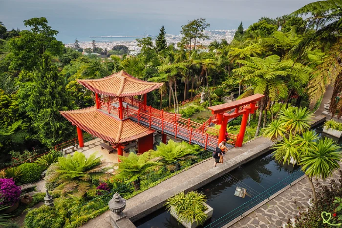Botanička bašta Jardim Monte Palace Madeira