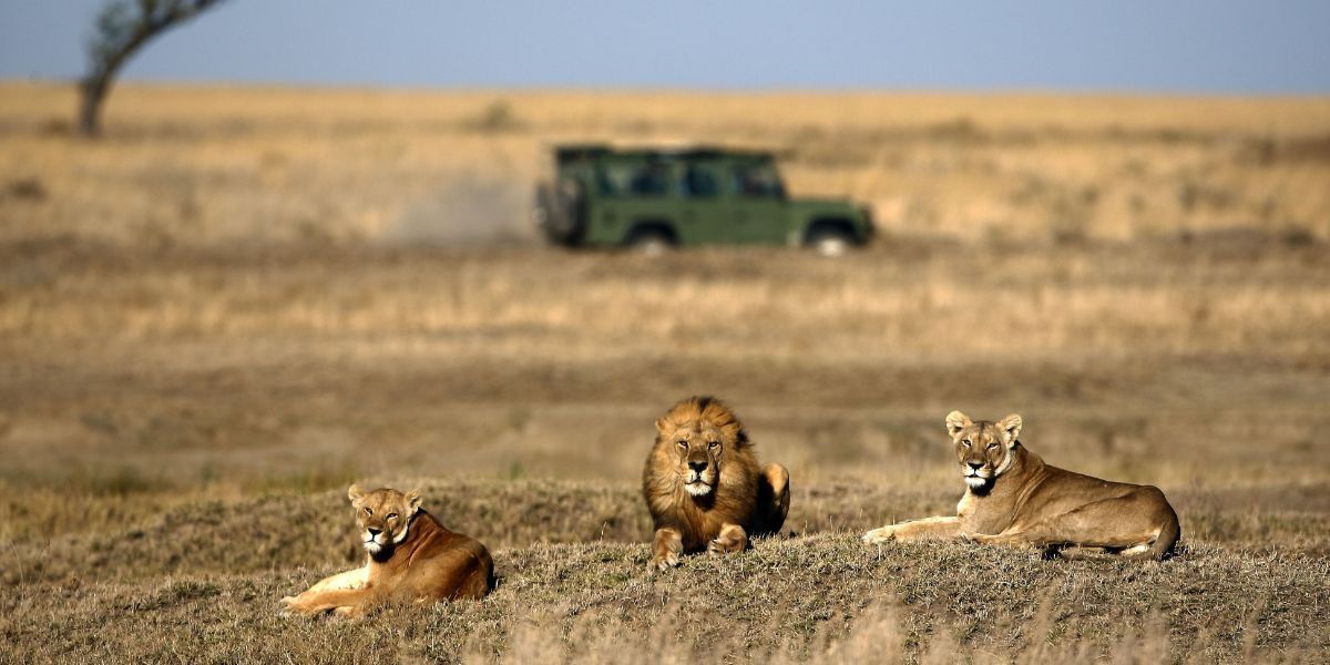 Kenija plaža i safari - Nairobi, Diani plaža i NP Tsavo