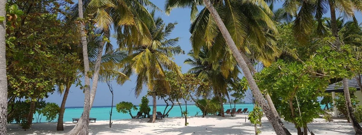 palma travel maldivi