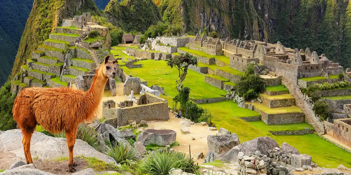 Panama, Kolumbija, Peru, Bolivija, Čile Nova godina