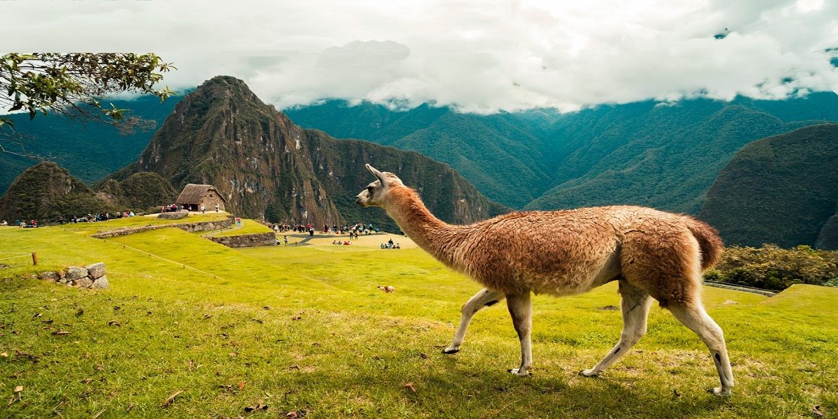 Čile, Peru, Bolivija, Čile Nova Godina