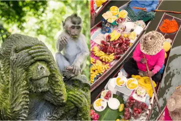 Urbana Džungla, Ostrvo Bogova i Talasi - Bangkok, Ubud, Gili Trawangan, Legian