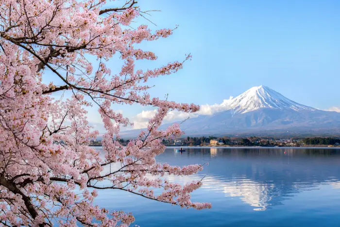 Japan Proleće - Tokio i Osaka
