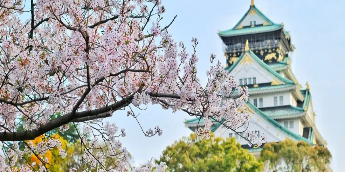 Japan Proleće - Tokio i Osaka