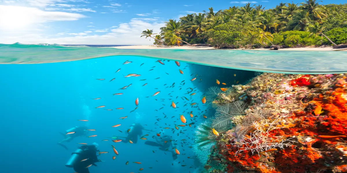 Maldivi Ronjenje