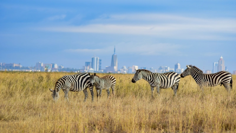 Obilazak Žirafa centra i Nairobi city tour