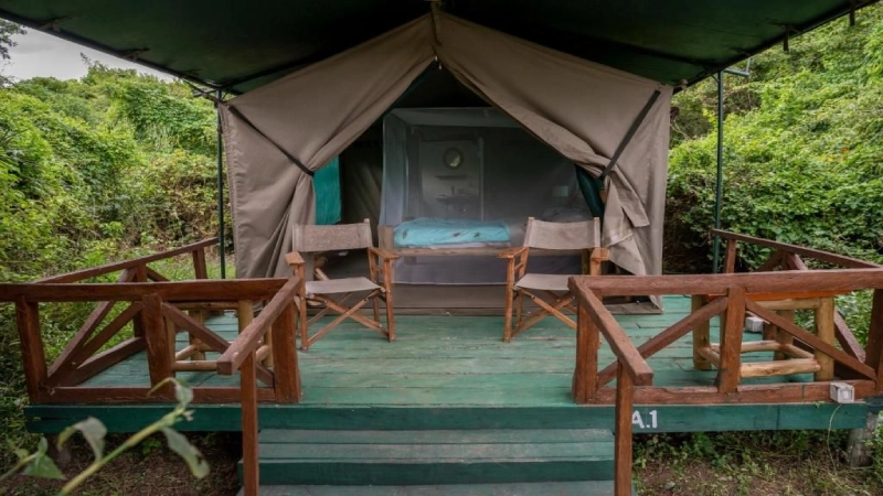 Safari Camp/Lodge