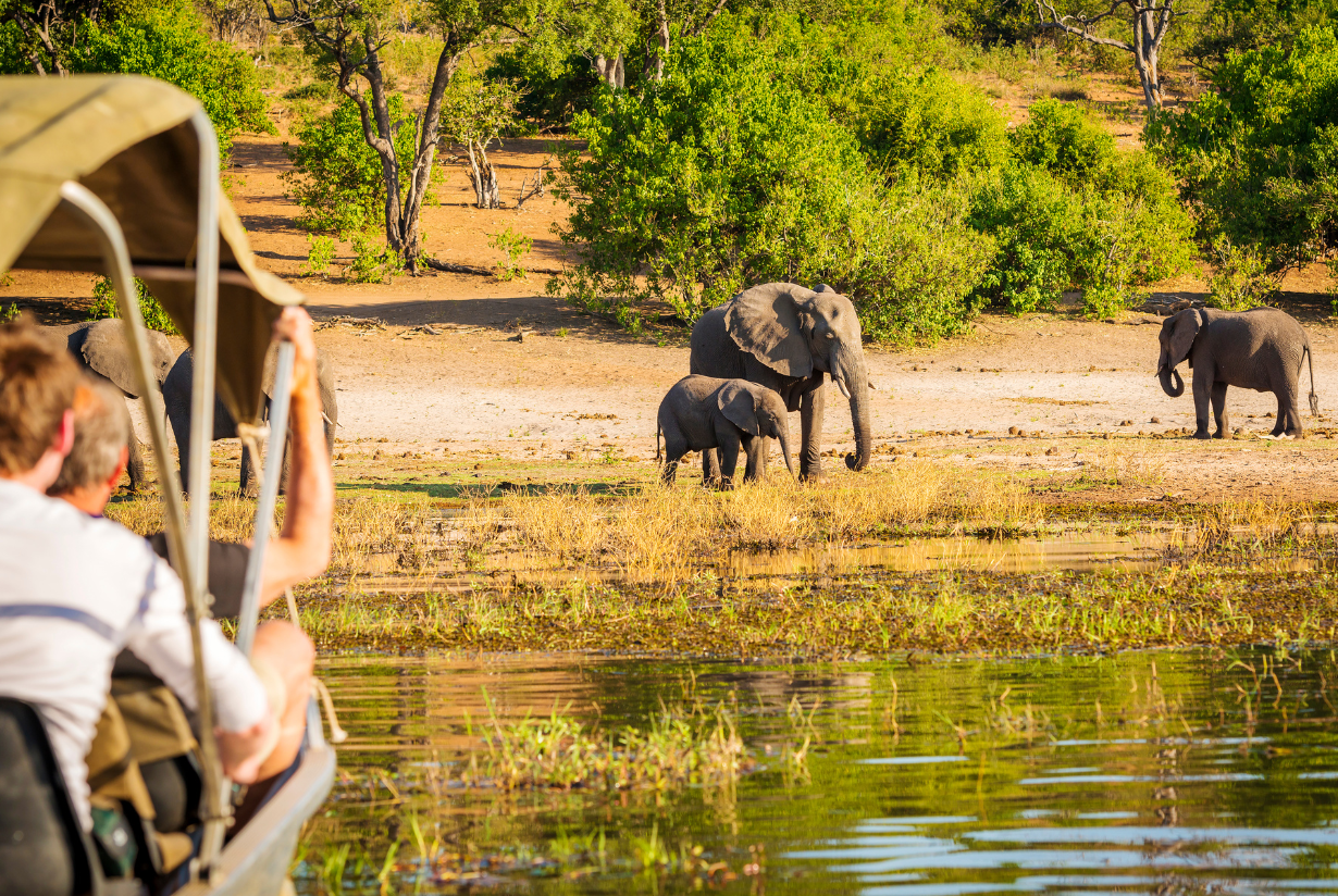 Namibija safari