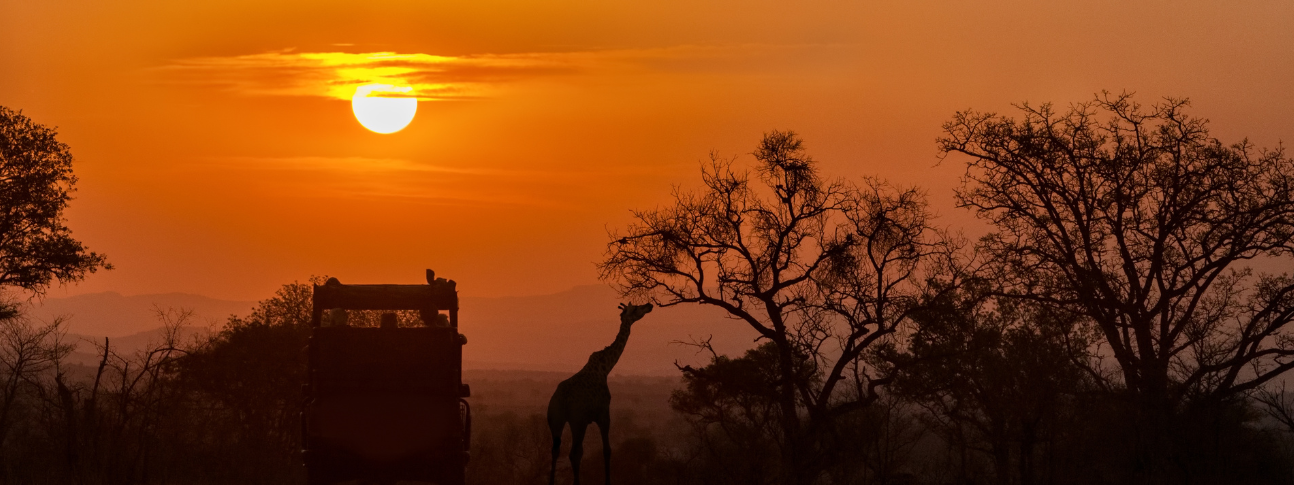 Namibija safari
