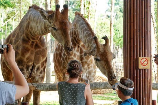 Vinpearl Safari, VinWonders i Grand World