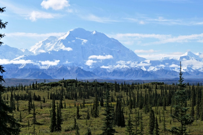 NP Denali