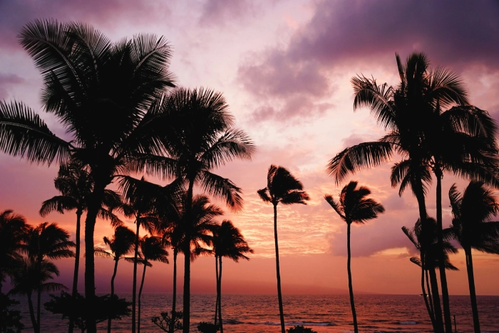 Severna obala Oahua i Sunset beach