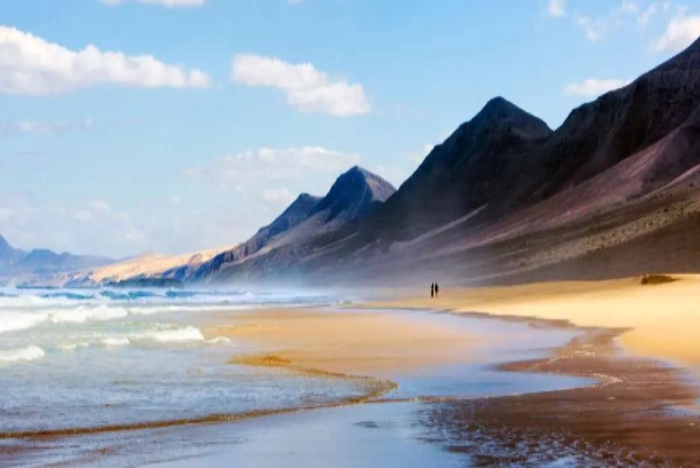 Divlja lepota Cofetea